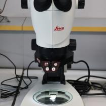 Leica S9i Stereo Microscope-Photo