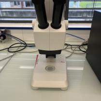 Leica EZ4 HD Digital Stereo Microscope-Photo